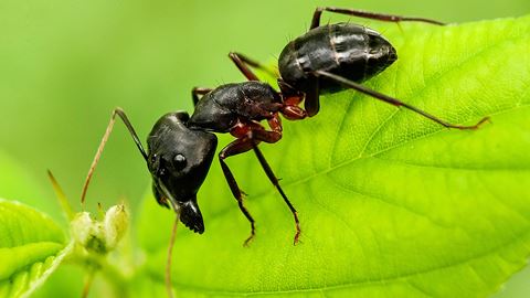 Os bastidores das gravações de House of the Dragon em Monsanto: Ficámos  de queixo caído - Atualidade - SAPO Mag