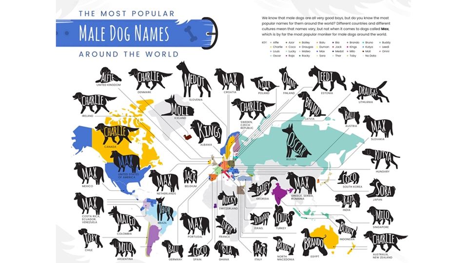 Nomes de cães mais usados no mundo