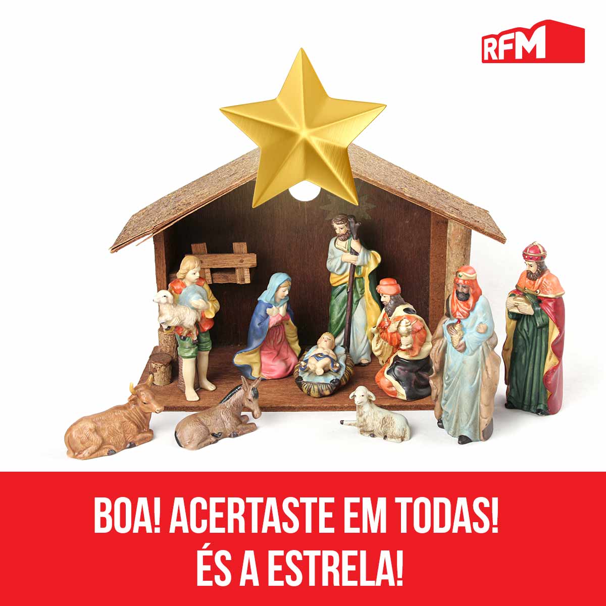 Gênio Quiz Natal  Genio quiz, Natal, 1